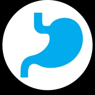 backbone