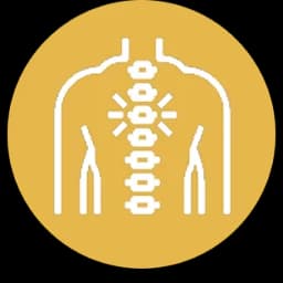 علاج مشاكل العمود الفقري
